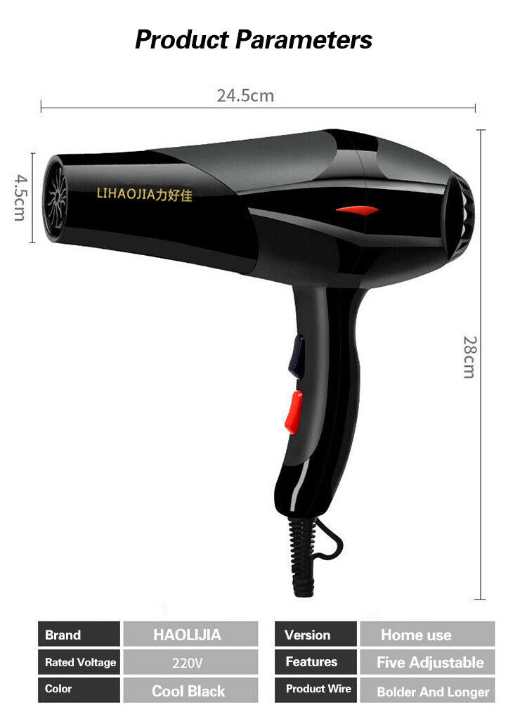 Professional Hair Dryer