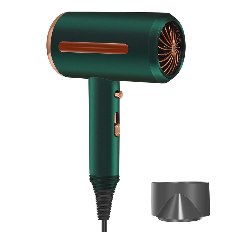 Professional Hair Dryer