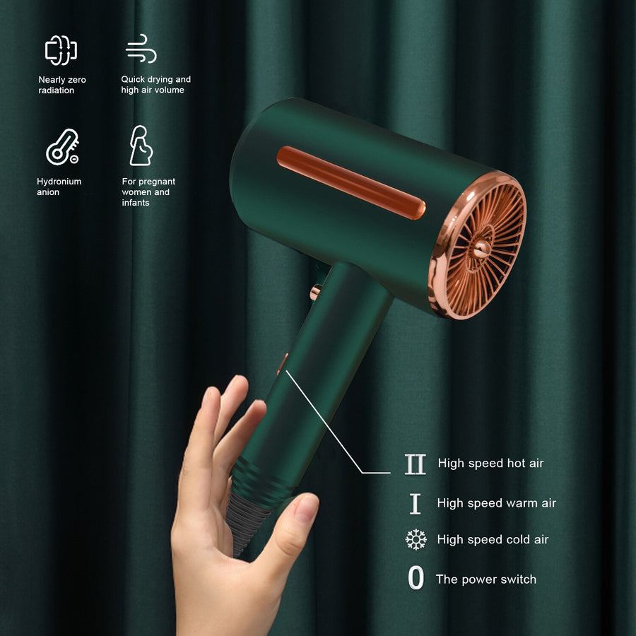 Professional Hair Dryer