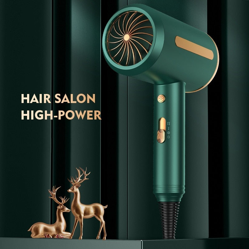 Professional Hair Dryer